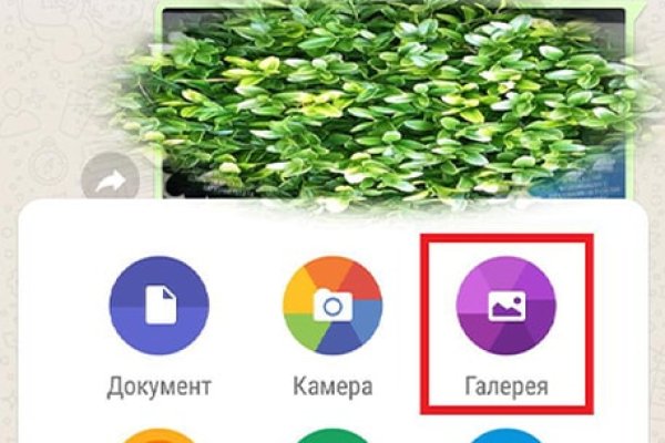 Kraken рабочая ссылка 2025