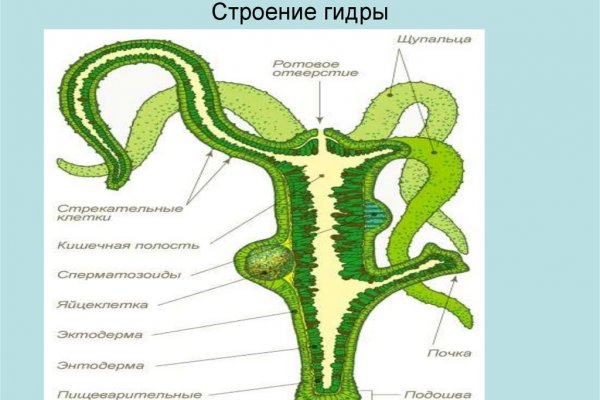 Как вернуть аккаунт на кракене