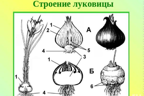 Как зайти на кракен с компа